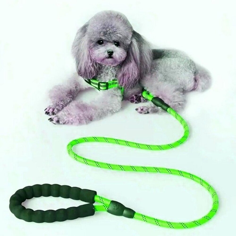 Tadeo Dash Green Reflective Rope Leash with Padded Loop Handle and Rotating Clip